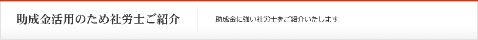 助成金活用のため社労士もご紹介可能